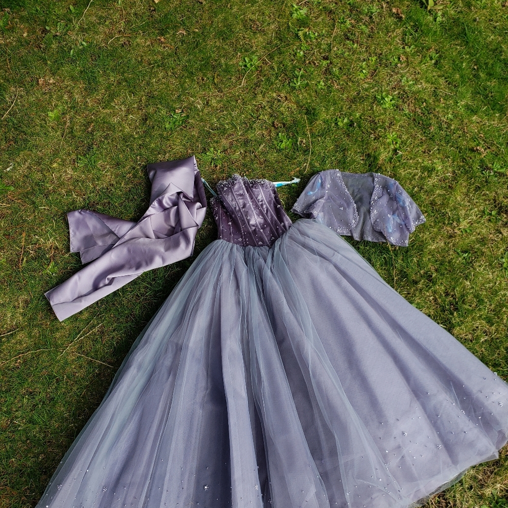 Prom / Grad Dress - Picture 5 of 16